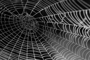 technical debt as a spider web